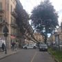 Gli effetti del maltempo a Torino Sud e al Salone del Libro