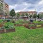 Festa dei Vicini del Mondo agli orti: due giorni tra cibo, musica e integrazione Festa dei Vicini del Mondo agli orti: due giorni tra cibo, musica e integrazione
