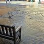 Chivasso, rottura della rete idrica: allagata piazza della Repubblica Chivasso, rottura della rete idrica: allagata piazza della Repubblica