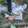 Ancora segnalazioni per il degrado ai Giardini Maiocco Ancora segnalazioni per il degrado ai Giardini Maiocco
