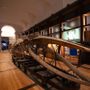 Museo Regionale di Scienze Naturali aperto gratuitamente ad agosto