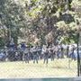 Blitz della Polizia al parco Sempione, via i pusher e le tende Blitz della Polizia al parco Sempione, via i pusher e le tende