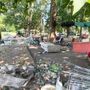 I comitati si mobilitano per chiudere più sicurezza per parco Sempione I comitati si mobilitano per chiudere più sicurezza per parco Sempione