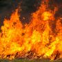 Incendi boschivi: in Piemonte dall'8 luglio stato di massima allerta Incendi boschivi: in Piemonte dall'8 luglio stato di massima allerta