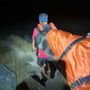 Troppo stanco per camminare: cane di 50 kg imbarellato e tratto in salvo a Balme