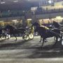 All'ippodromo di Vinovo conto alla rovescia per il Gran Premio Marangoni All'ippodromo di Vinovo conto alla rovescia per il Gran Premio Marangoni