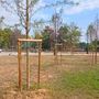 Parco del Valentino, l'allarme di Procivicos: "Gli alberi piantati sono già secchi"