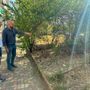 Case Atc di via Fratelli Garrone: pulizia, sgombero rifiuti e derattizzazione Case Atc di via Fratelli Garrone: pulizia, sgombero rifiuti e derattizzazione