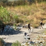 Speciale Parco Sempione / PARTE 3. La geografia delle overdose a Torino, dove si muore nella solitudine Speciale Parco Sempione / PARTE 3. La geografia delle overdose a Torino, dove si muore nella solitudine