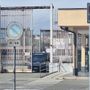 Carcere Lorusso Cutugno, Ravinale (Avs): "Materassi pieni di cimici, i Padiglioni B e C vanno chiusi" Carcere Lorusso Cutugno, Ravinale (Avs): "Materassi pieni di cimici, i Padiglioni B e C vanno chiusi"
