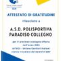 La Polisportiva Paradiso Collegno premiata per l'impegno a favore dei bambini malati di cancro La Polisportiva Paradiso Collegno premiata per l'impegno a favore dei bambini malati di cancro