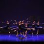 Nichelino va a passo di danza: nasce il Balletto del Teatro Superga Nichelino va a passo di danza: nasce il Balletto del Teatro Superga