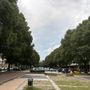 Novità in vista per corso Telesio Novità in vista per corso Telesio