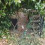 Sbandati nella bocciofila chiusa: “Bisogna assegnarla o saranno guai” Sbandati nella bocciofila chiusa: “Bisogna assegnarla o saranno guai”