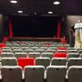 Teatro Baretti, la nuova stagione è &quot;Aurea Familia&quot;: un laboratorio di comunità tra arte, identità e memoria