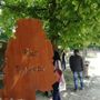 Concorso dedicato a Pino Torinese