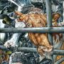 &quot;Life-Sentence-The-invisibles&quot; - acrylic paint on canvas by Philip McCulloch-Downs