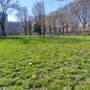 Lucento in festa: domani mattina tutti in campo per ripulire il giardino Cavallotti e le strade del quartiere Lucento in festa: domani mattina tutti in campo per ripulire il giardino Cavallotti e le strade del quartiere