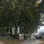 Controlli anti barbecue al parco della Pellerina