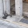La lettera di una residente: “Intorno ai nostri palazzi un vespasiano a cielo aperto”