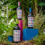 Nasce a Torino il “Percorso del Vermouth: a crearlo sono l’Orto Botanico e Canone Occidentale