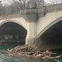 Isola di detriti e tronchi sotto Ponte Sassi (foto di Pierlucio Firrao)