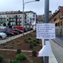 Una foto dell'aiuola di piazza don Albera