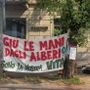 Immagine di repertorio di una protesta per la difesa degli alberi di corso Belgio