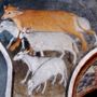 &quot;HIC sunt Viperae&quot;: il 6 settembre breve storia degli animali ai piedi delle Alpi