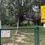 Cani liberi nei parchi e pericolo di aggressioni: &quot;Servono più cartelli e controlli&quot;