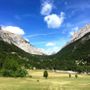 A Bardonecchia una giornata per scoprire l'affascinante mondo degli avvoltoi