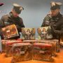 Rosta, sequestrati quasi sei chili di botti illegali: denunciato un ambulante