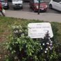 Via Vibò, lettera dei cittadini su liti e tossici al parco