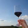 Piemonte premiato come Regione dell'anno 2025 ai Wine Travel Awards