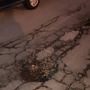 Moncalieri: buche e asfalto rovinato in via Cavour. La rabbia dei residenti