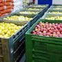 Scaffali dei supermercati vuoti al Sud, Caat: "Da noi rallentamento arrivo merce. Rispetto a Gdo più fornitori" Scaffali dei supermercati vuoti al Sud, Caat: "Da noi rallentamento arrivo merce. Rispetto a Gdo più fornitori"