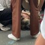 Dramma sfiorato sotto il caldo sole di Loano: cane salvato in extremis