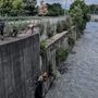Cane finisce nelle acque della Dora, portato in salvo dai Vigili del fuoco
