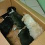 Immagine di archivio