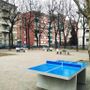 Il tocco dei bambini delle scuole per i giardini Alimonda