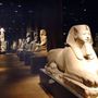 Il mattino ha l'oro in bocca all'Egizio: fino al 4 maggio visite (limitate) prima dell'apertura ufficiale