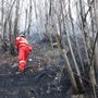 Incendi boschivi: al via in Piemonte il periodo di attenzione invernale Incendi boschivi: al via in Piemonte il periodo di attenzione invernale