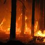 Il Piemonte da due mesi combatte contro gli incendi boschivi Il Piemonte da due mesi combatte contro gli incendi boschivi
