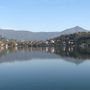 Avigliana, tartarughe infette nel Lago Grande: rischio Salmonella per l’uomo