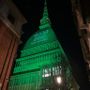 Mole illuminata di verde (immagine di repertorio)