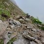 Il nuovo Geoportale racconta 53 siti di interesse geologico del Piemonte Il nuovo Geoportale racconta 53 siti di interesse geologico del Piemonte