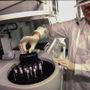 Laboratorio analisi AslTo3: rallentamenti temporanei ai punti prelievo per un blocco informatico Laboratorio analisi AslTo3: rallentamenti temporanei ai punti prelievo per un blocco informatico
