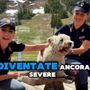 &quot;Se non ti porto, non parto&quot;, patente sospesa fino a un anno per chi abbandona un animale in strada [VIDEO]