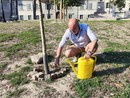 Enrico si prende cura dei giardini del Borgo Nuovo Enrico si prende cura dei giardini del Borgo Nuovo