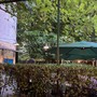 Alla scoperta di Imbianchini e decoratori